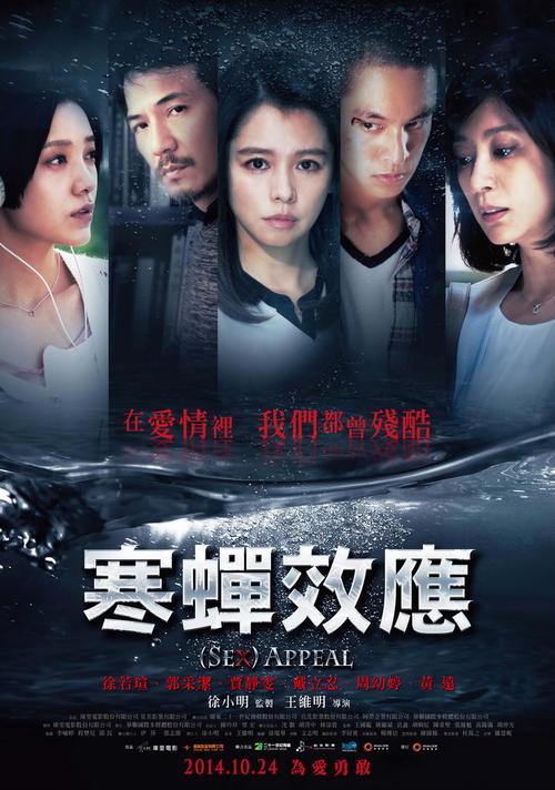 办假的暂定资质/证书